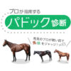 【有馬記念予想】細江純子さんが出走予定10頭の馬体を診断！ - netkeiba取材班 | 競馬